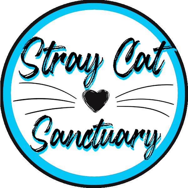 Stray Cat Sanctuary 
