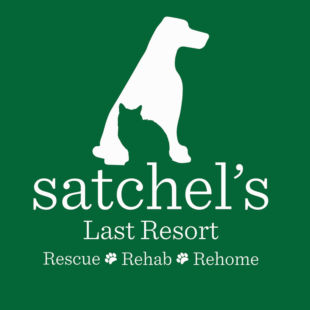 Satchels Last Resort Animal Shelter