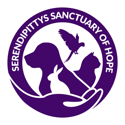 Serendipittys Sanctuary of Hope