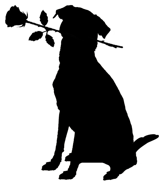 Grammy Rose Dog Rescue & Sanctuary, Inc.