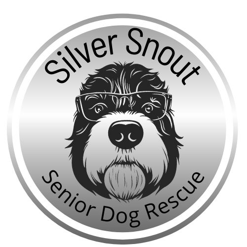 Silver Snout Senior Dog Rescue