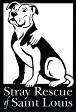 Stray Rescue of St. Louis