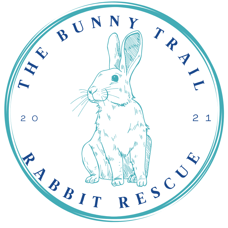 The Bunny Trail Rabbit Rescue