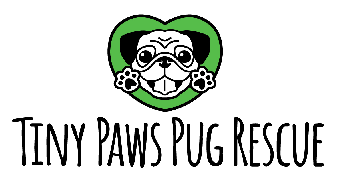 Tiny Paws Pug Rescue