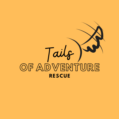 Tails of Adventure Rescue