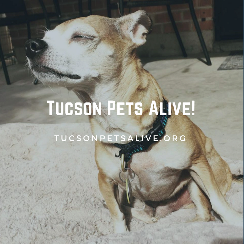 Tucson Pets Alive!