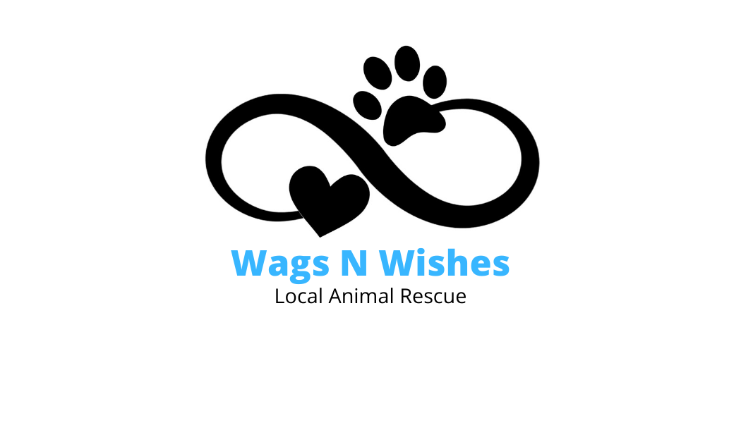 Wags N Wishes