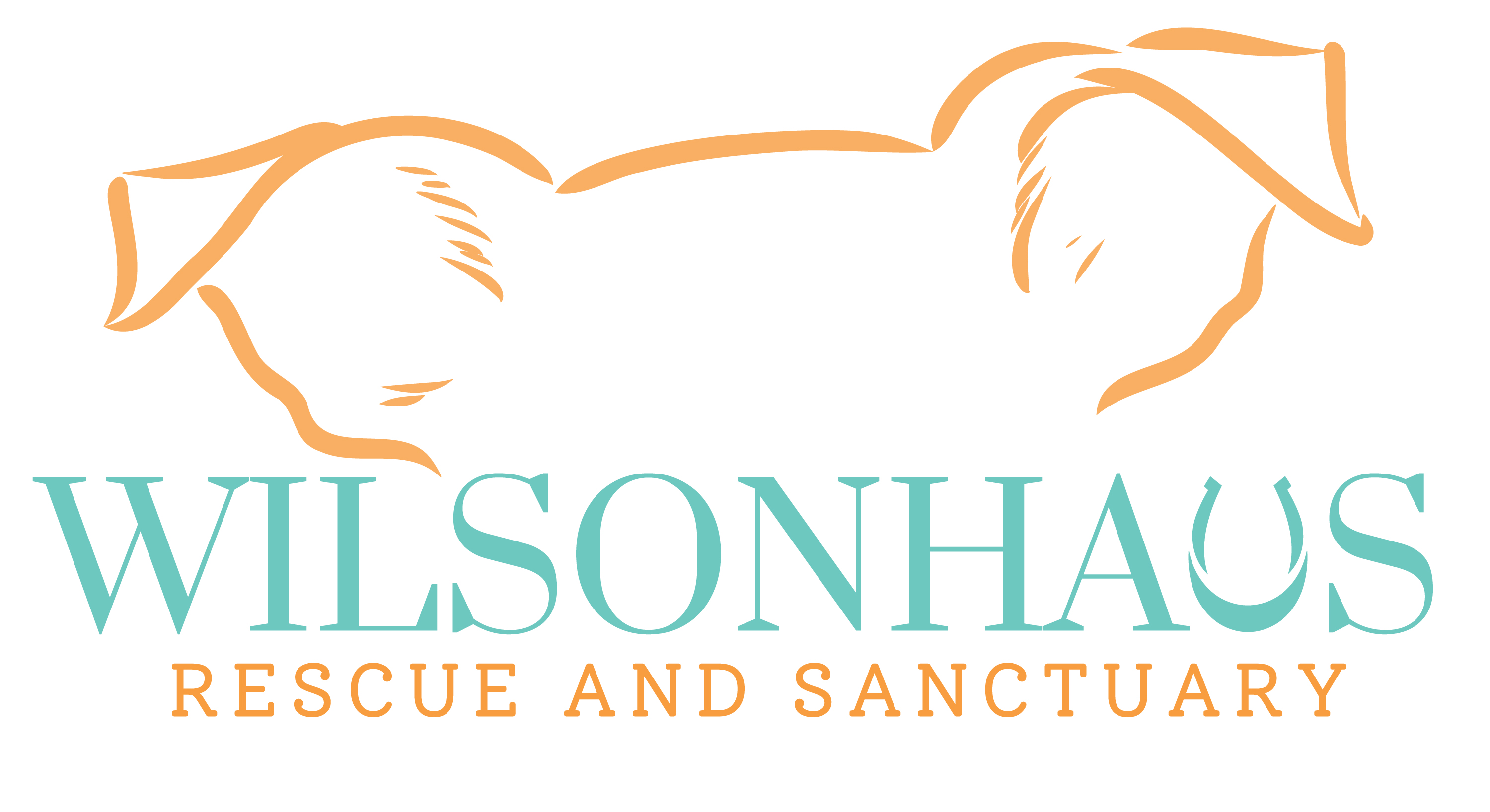 WilsonHaus Rescue