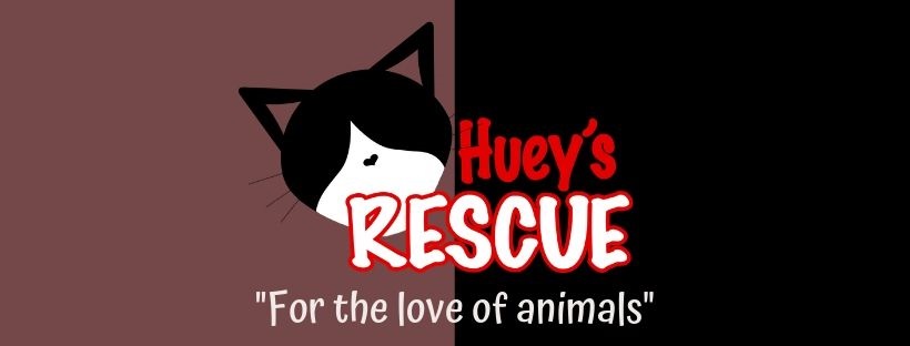 Huey's Rescue