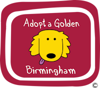 Adopt a Golden Birmingham