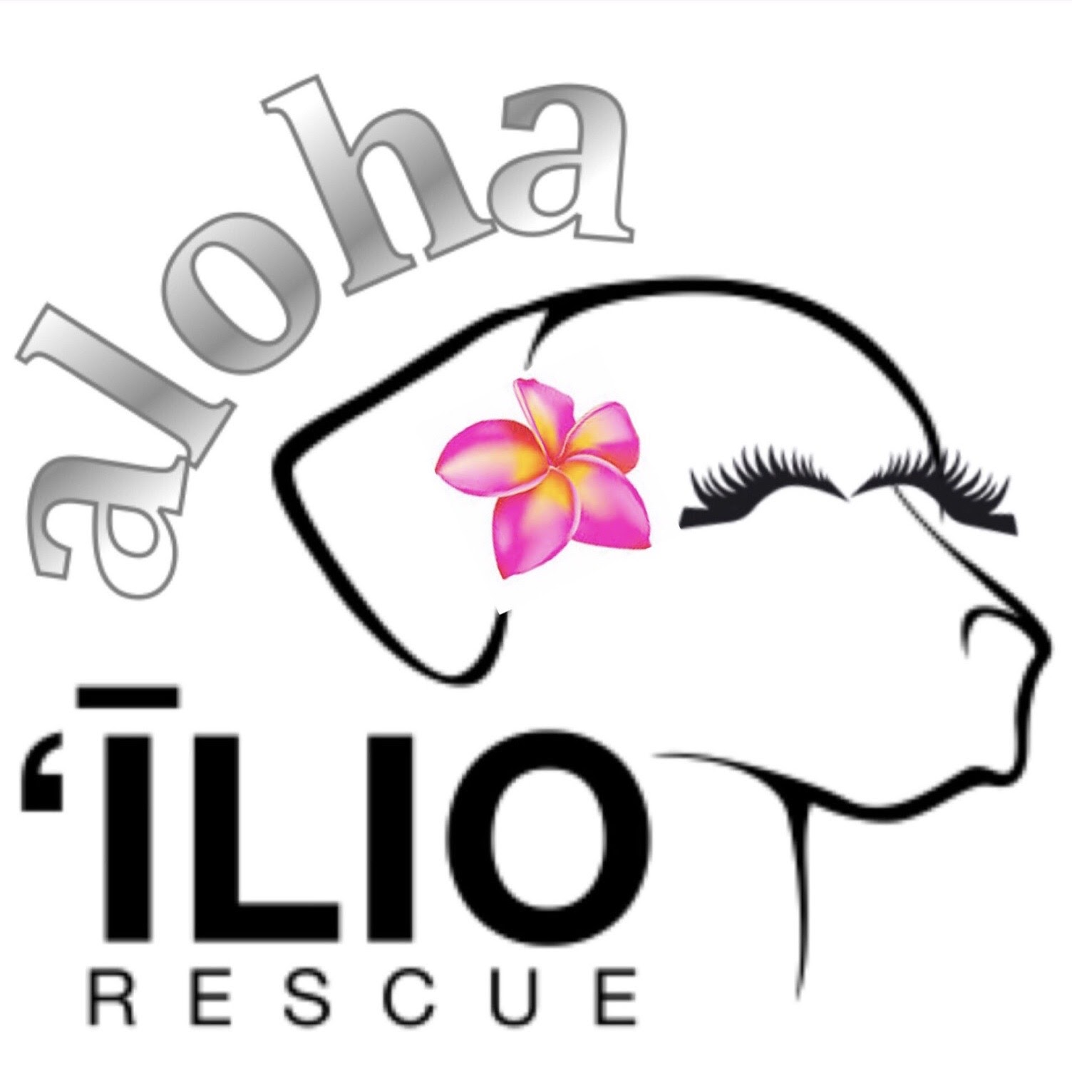 Aloha Ilio Rescue
