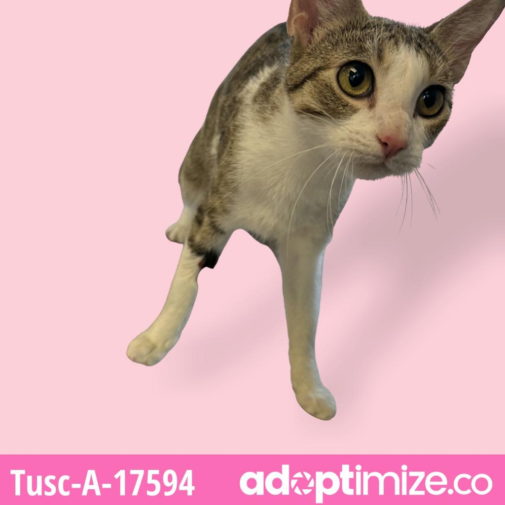  Photo of Jasmine