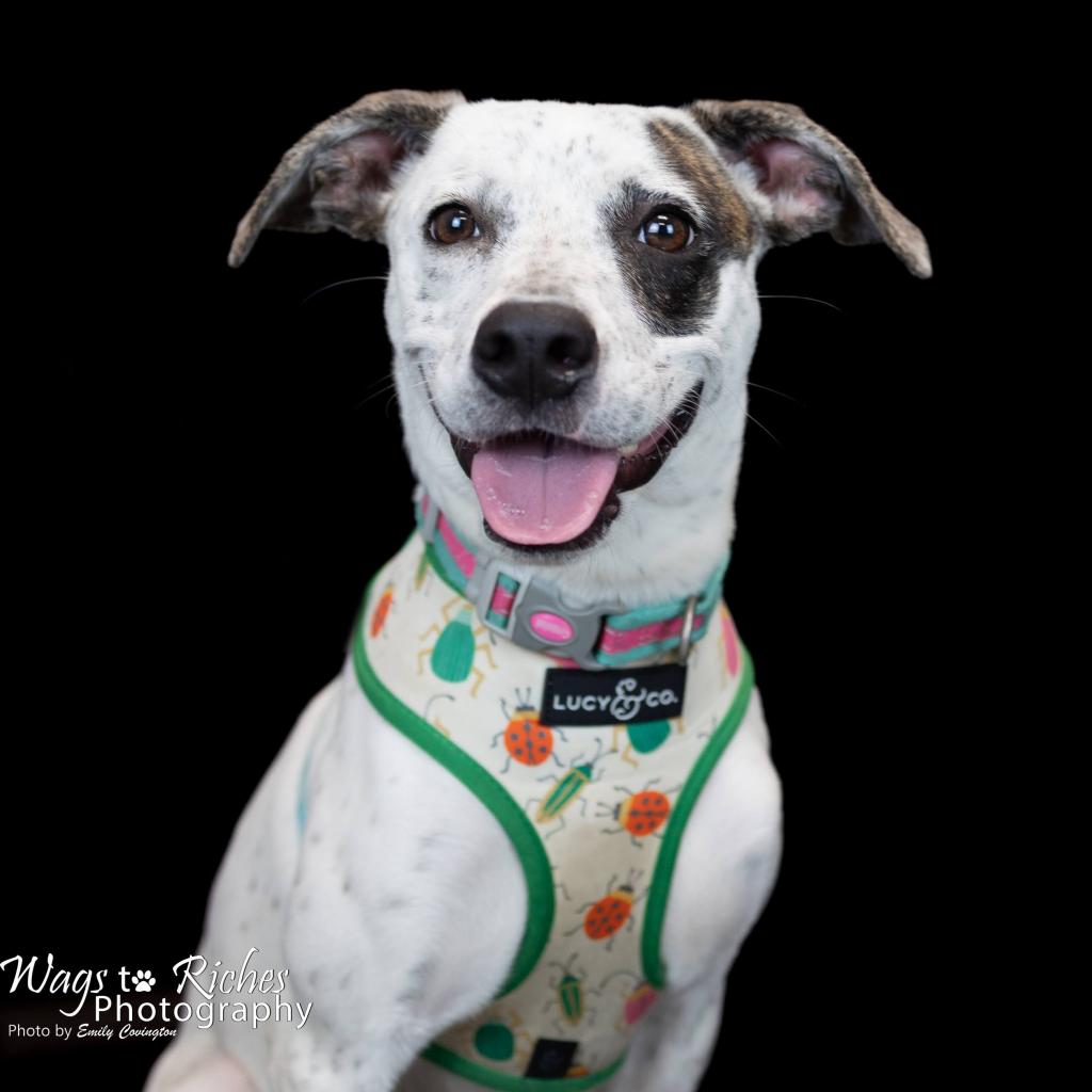  Photo of Hazel