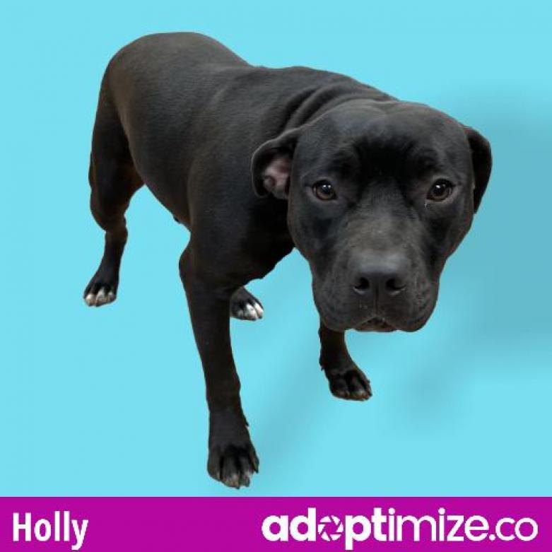  Photo of Holly