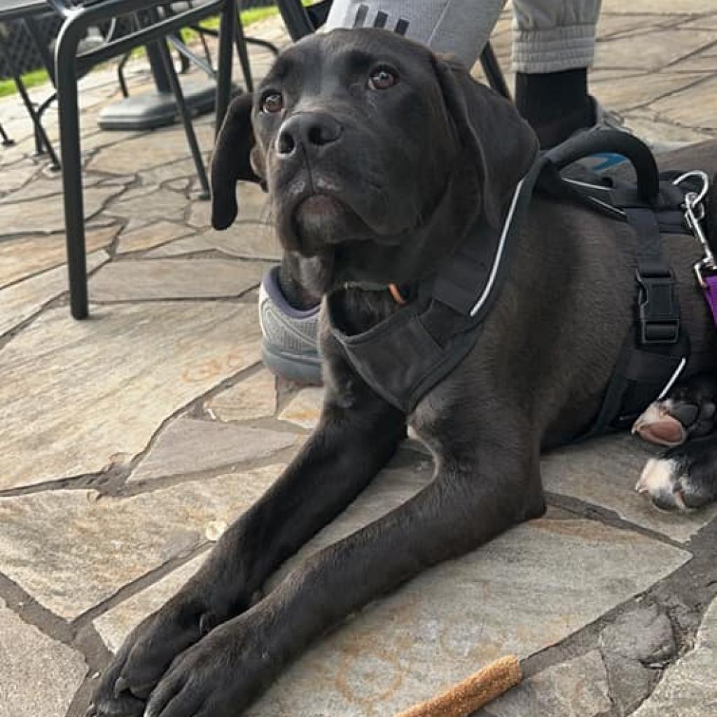 Milo