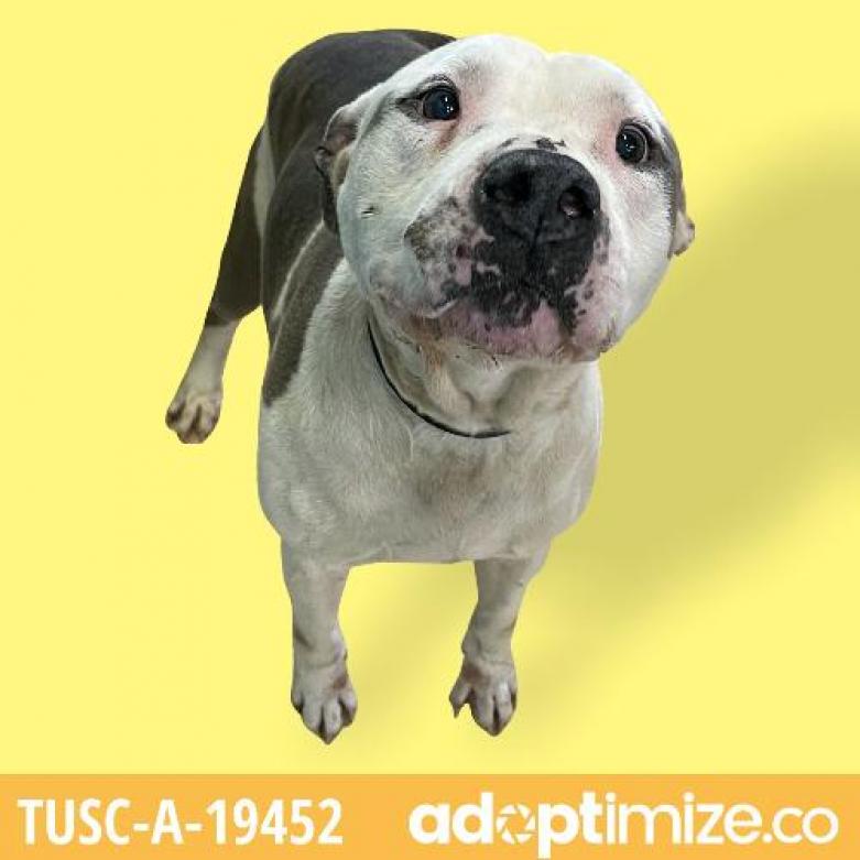 Photo of TUSC-Stray-tu227