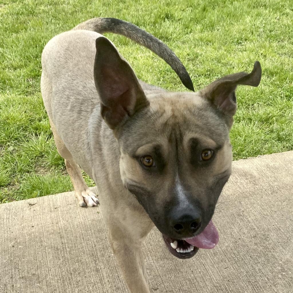 Max