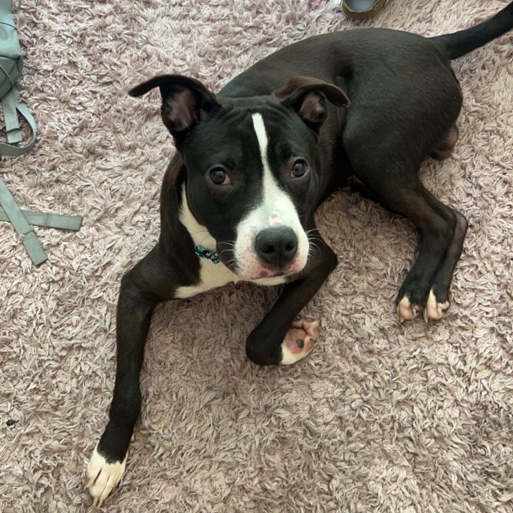Tux
