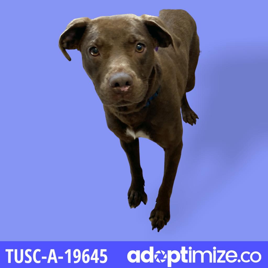  Photo of Rue