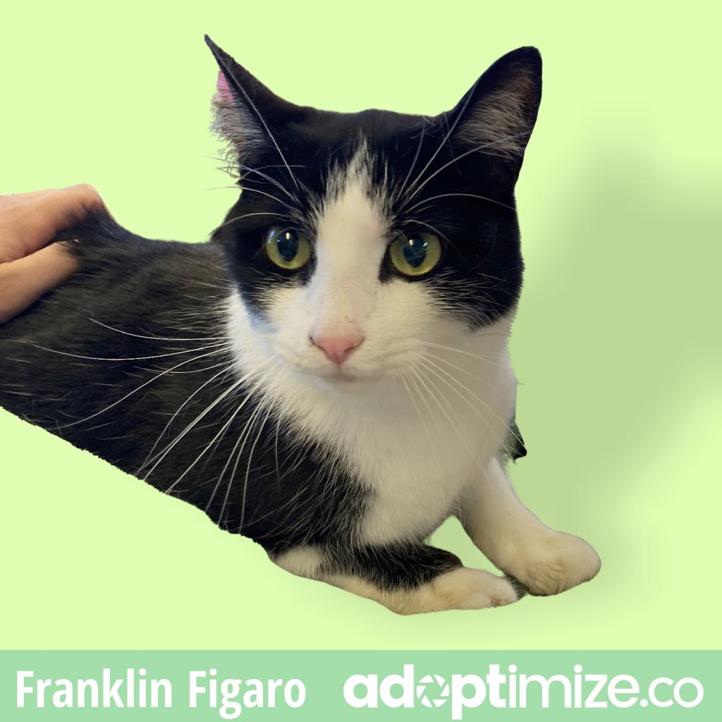 Franklin Figaro