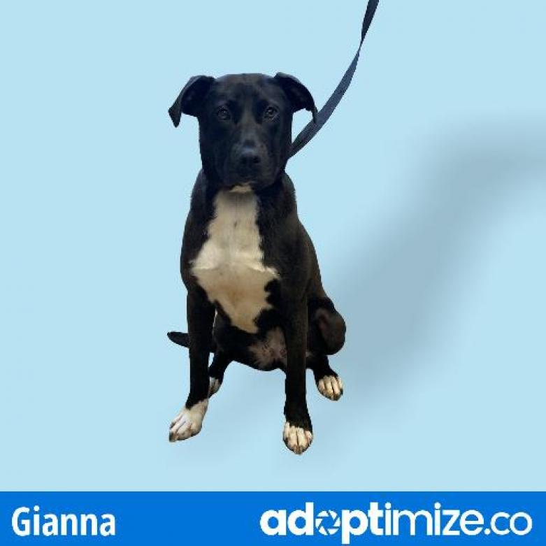Gianna