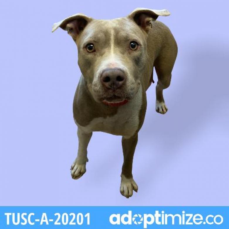 Tusc Stray Tu57