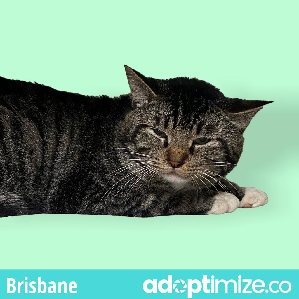 Brisbane