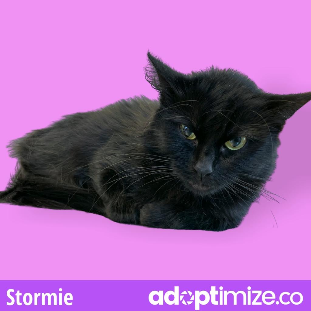 Stormie