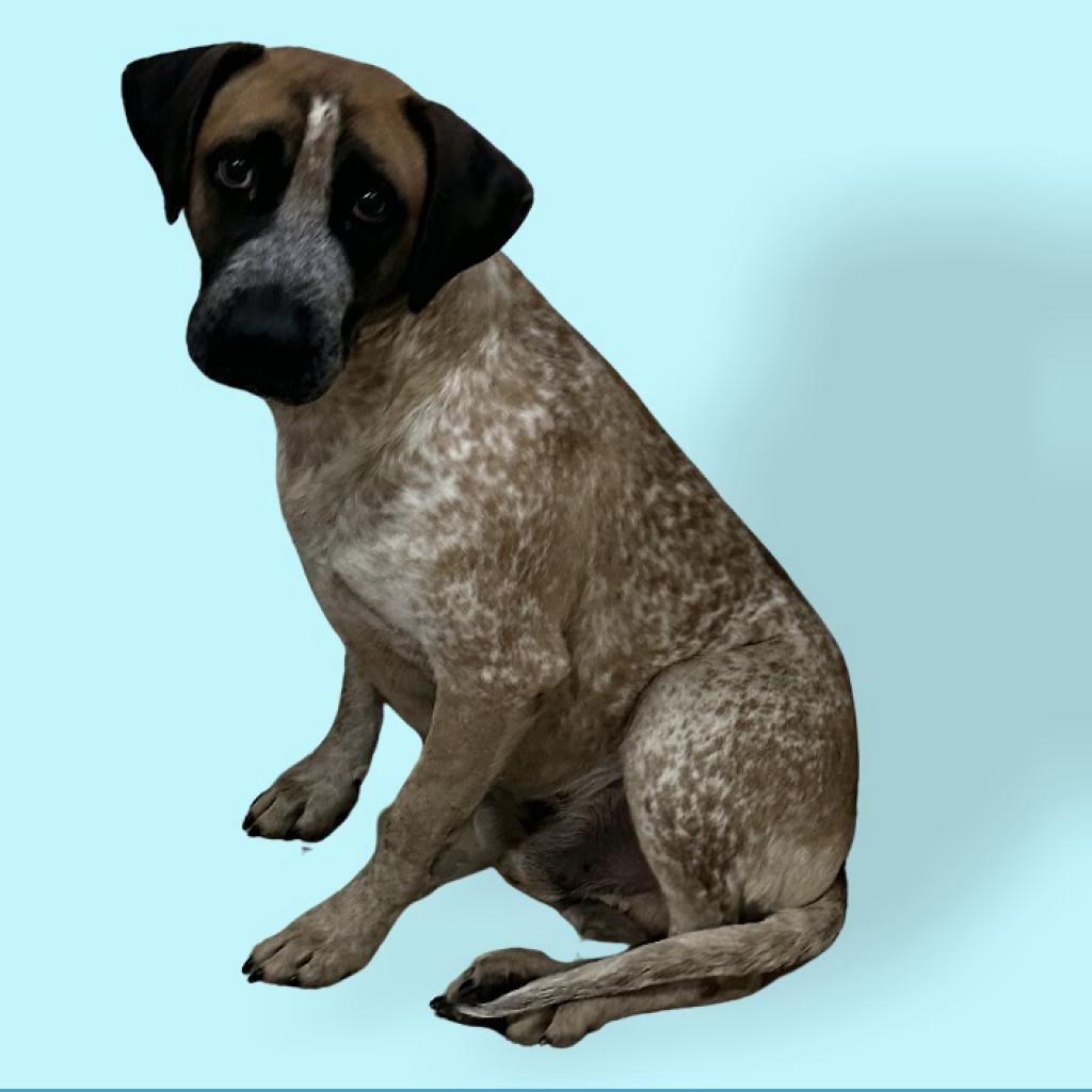 Roscoe