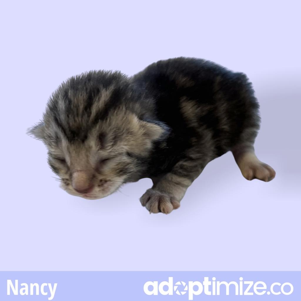  Photo of Nancy