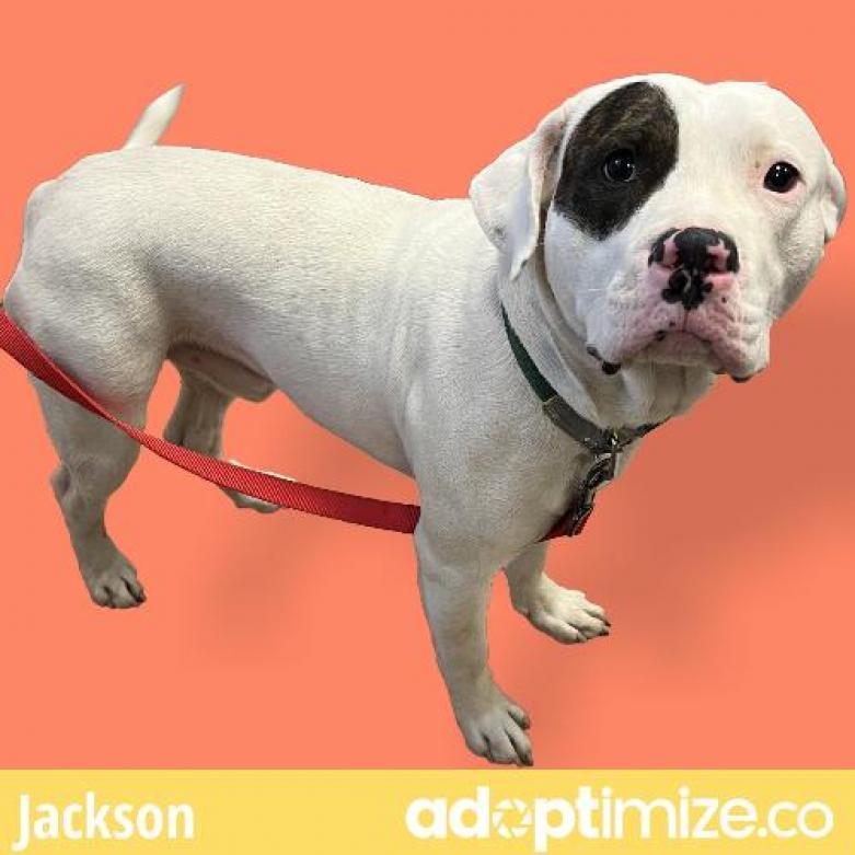 Jackson