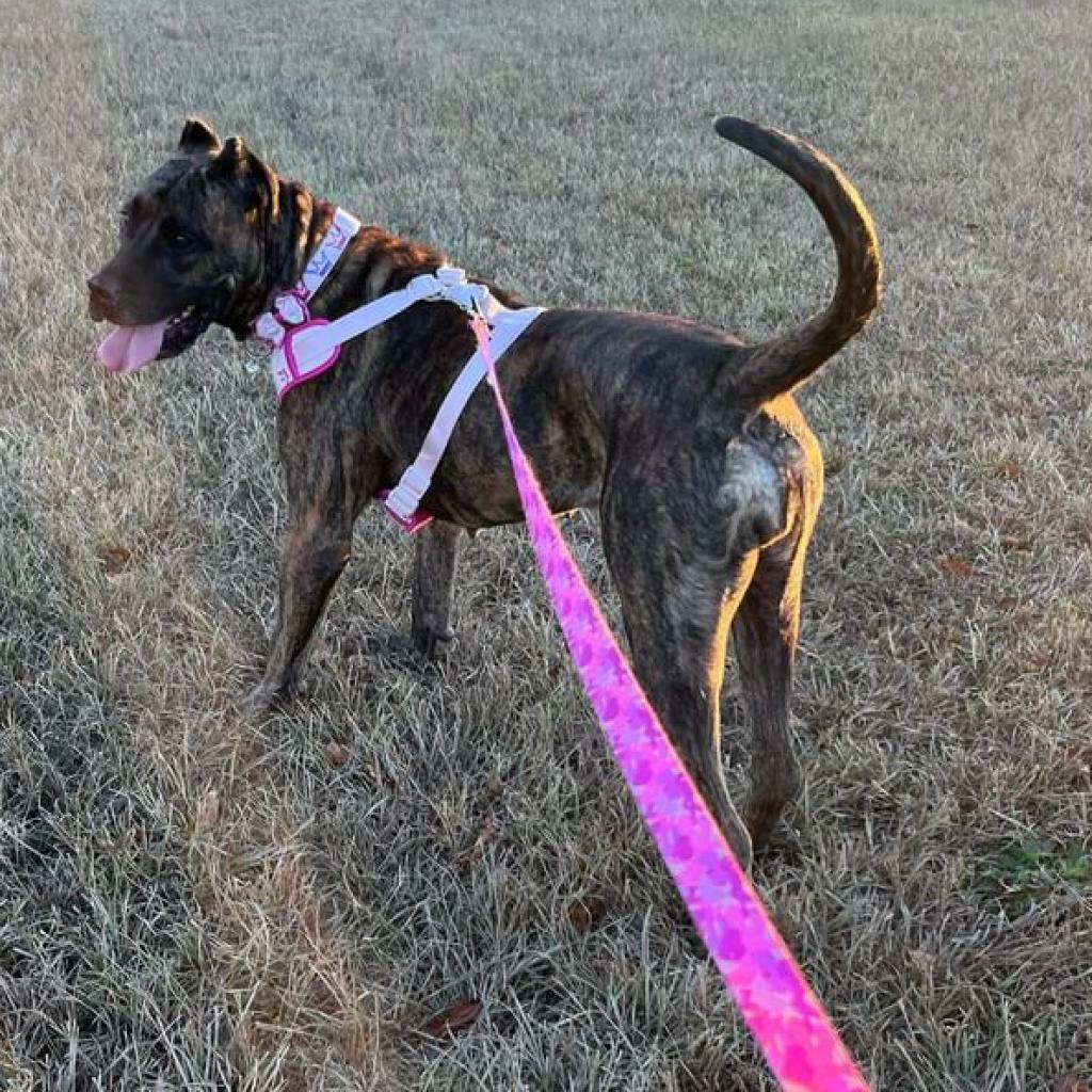 Missy