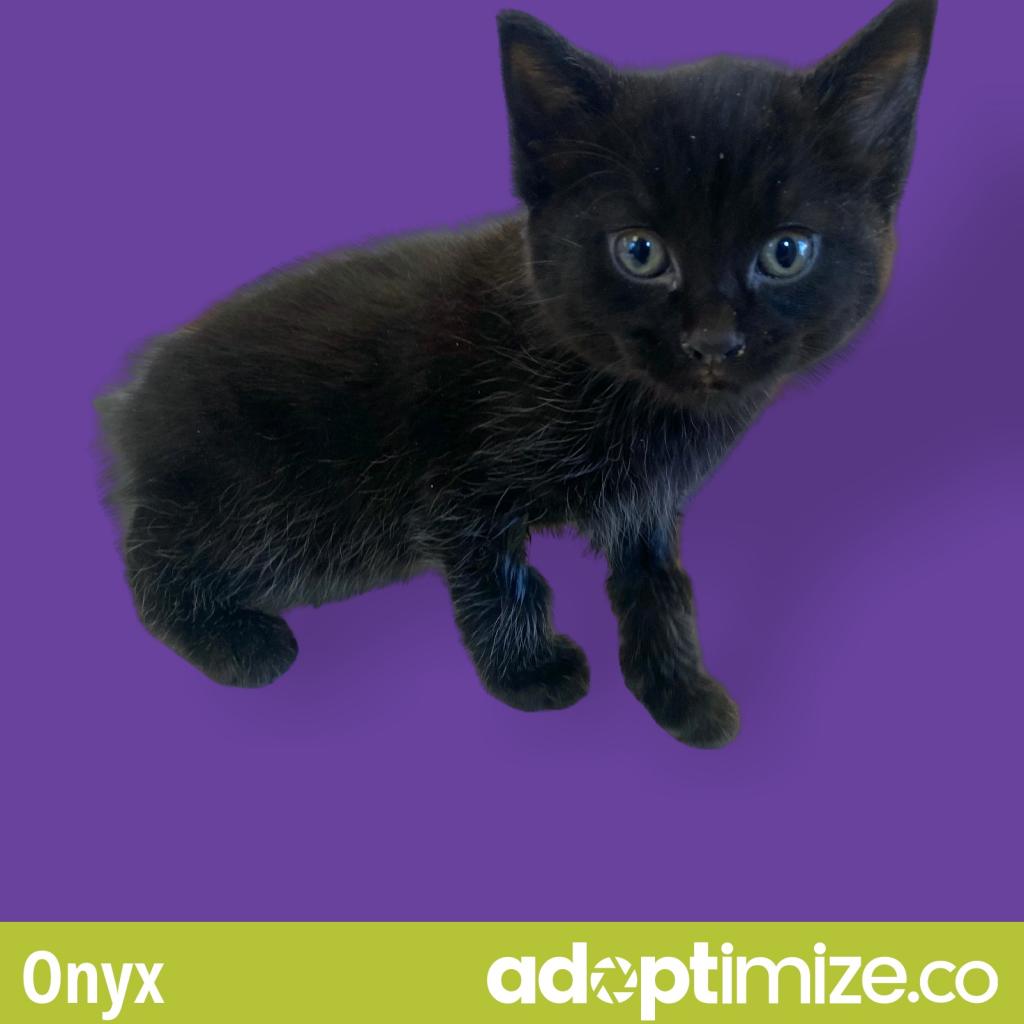 Onyx