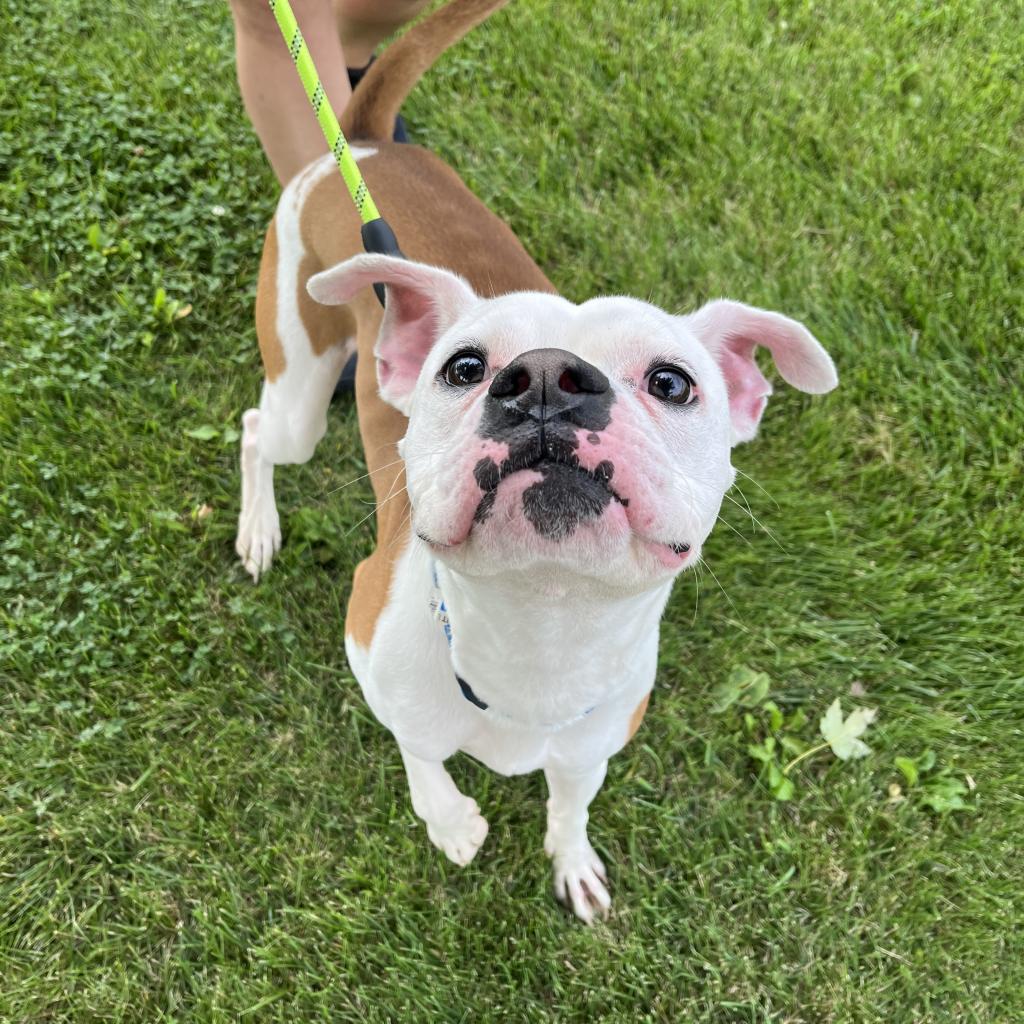 Reggie