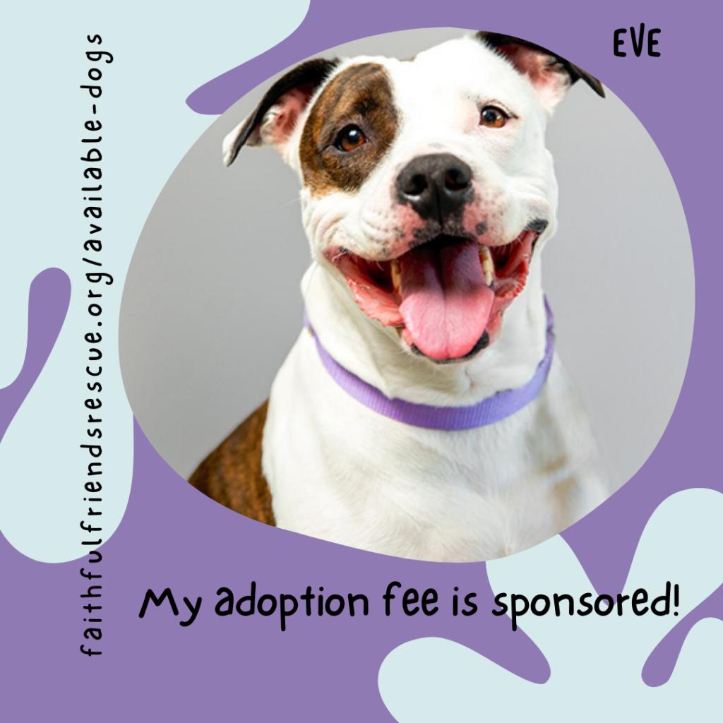 Animal Rescue - Faithful Friends Pet Rescue and Rehoming Animal Rescue - Faithful Friends Pet Rescue and Rehoming