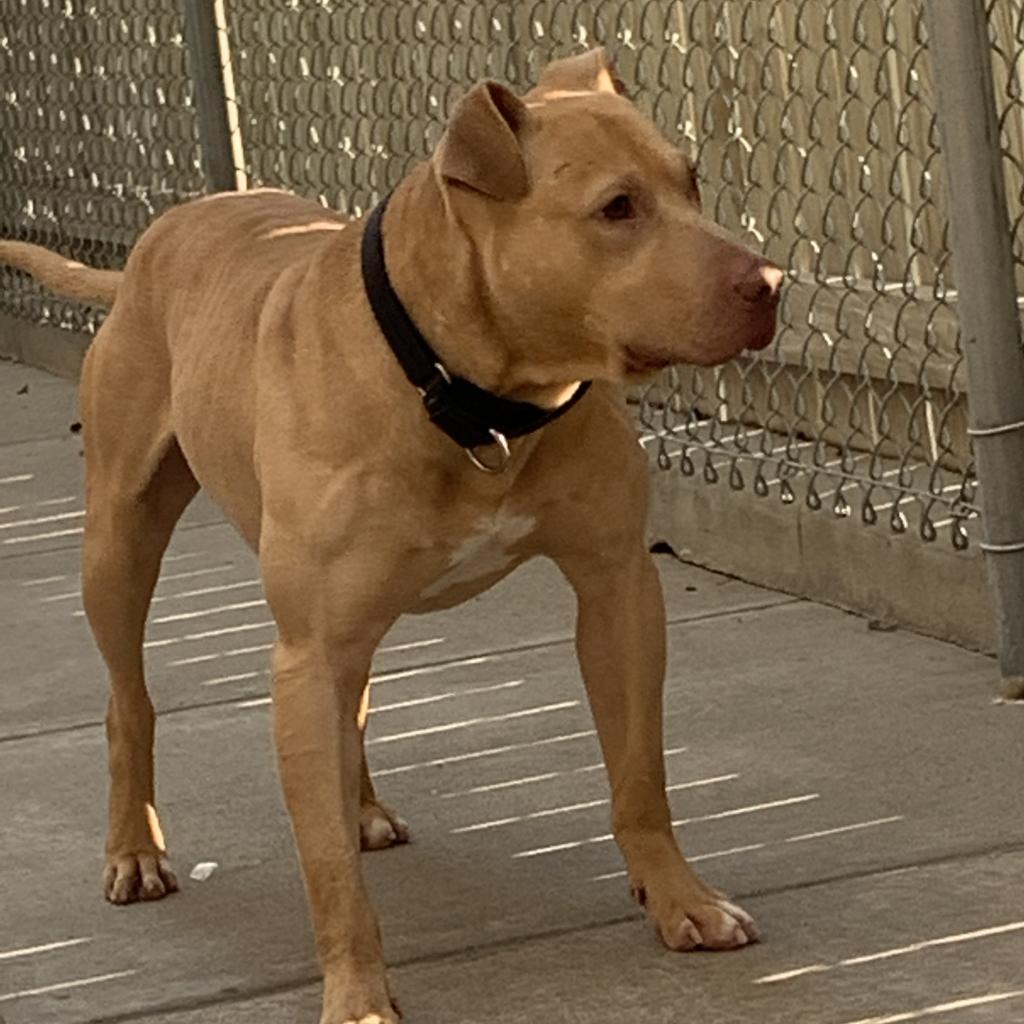 Photo of Bud 5