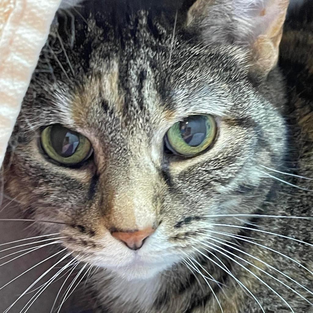 Photo of Sassy 8