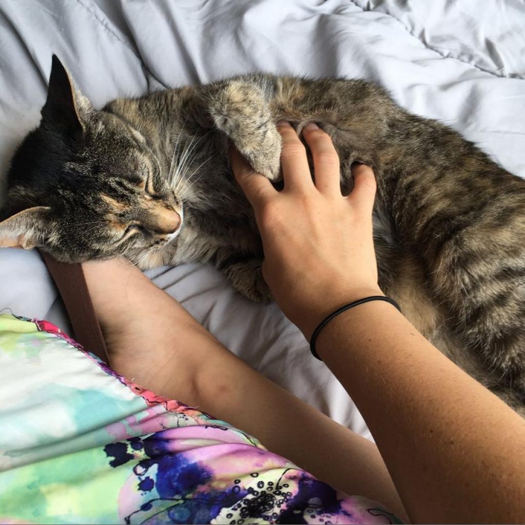 Photo of Sassy 10