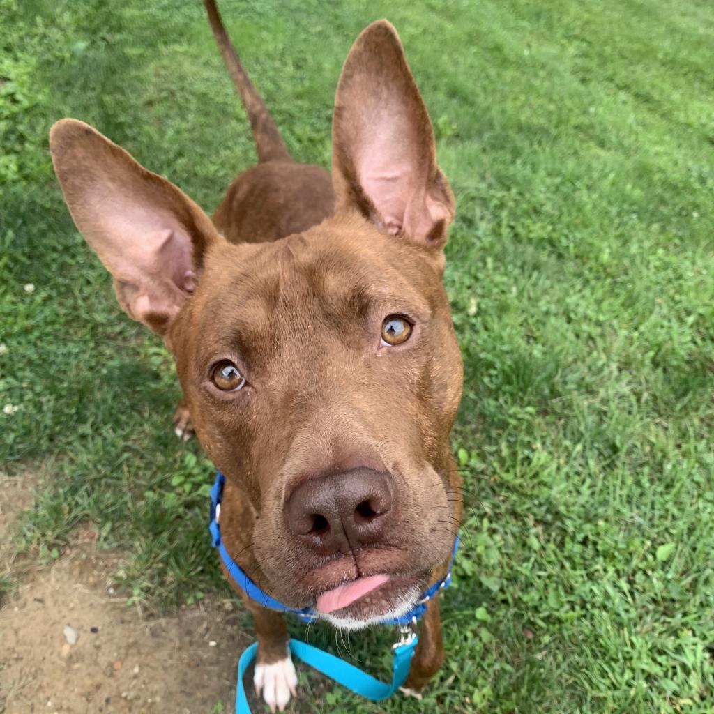 Photo of Brody 3