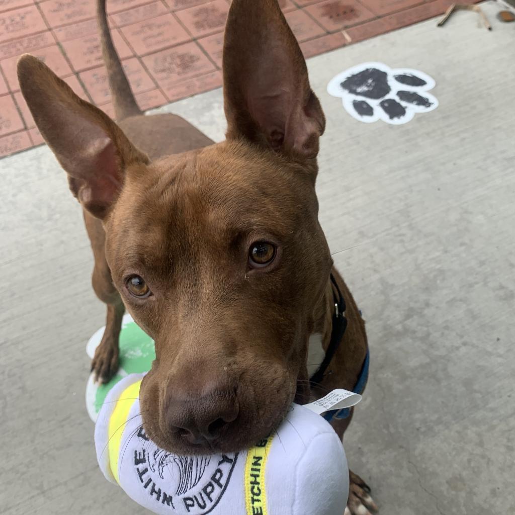 Photo of Brody 6