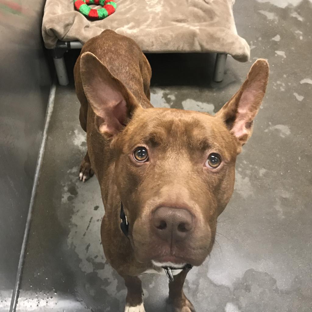 Photo of Brody 7