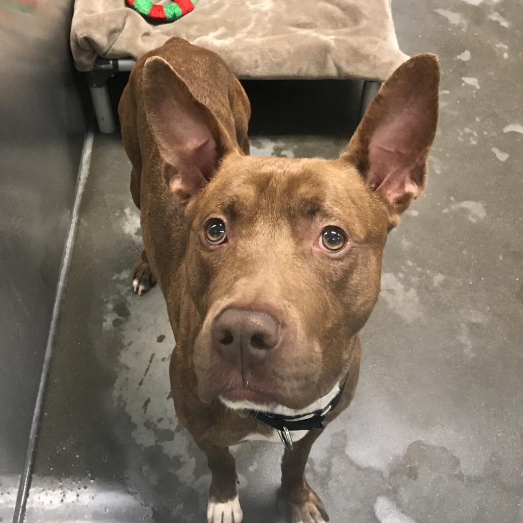 Photo of Brody 10
