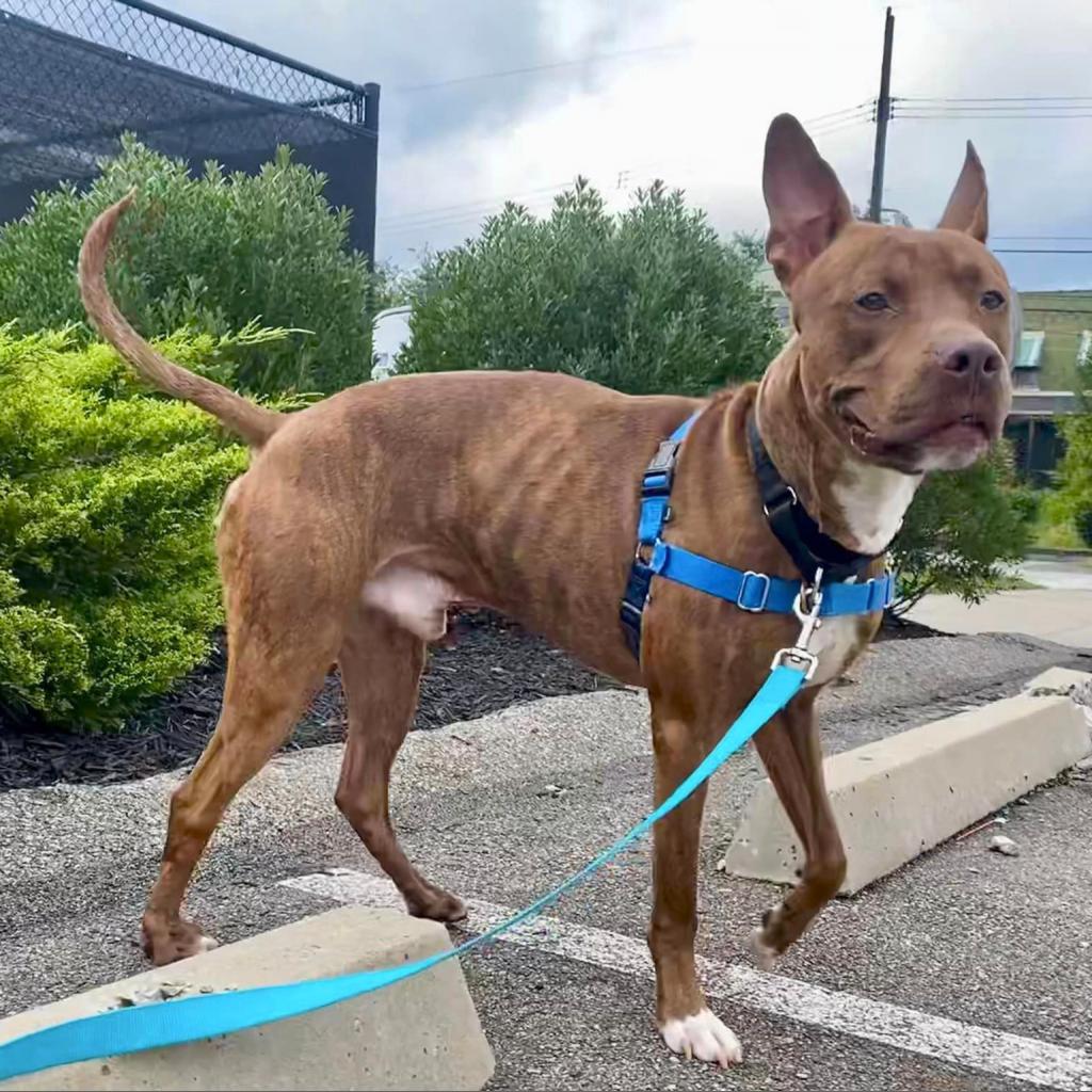 Photo of Brody