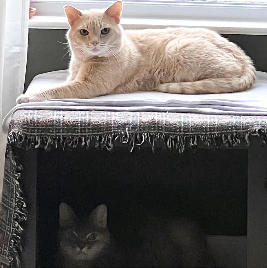 Photo of Leo Tolstoy (and Clarissa) 6