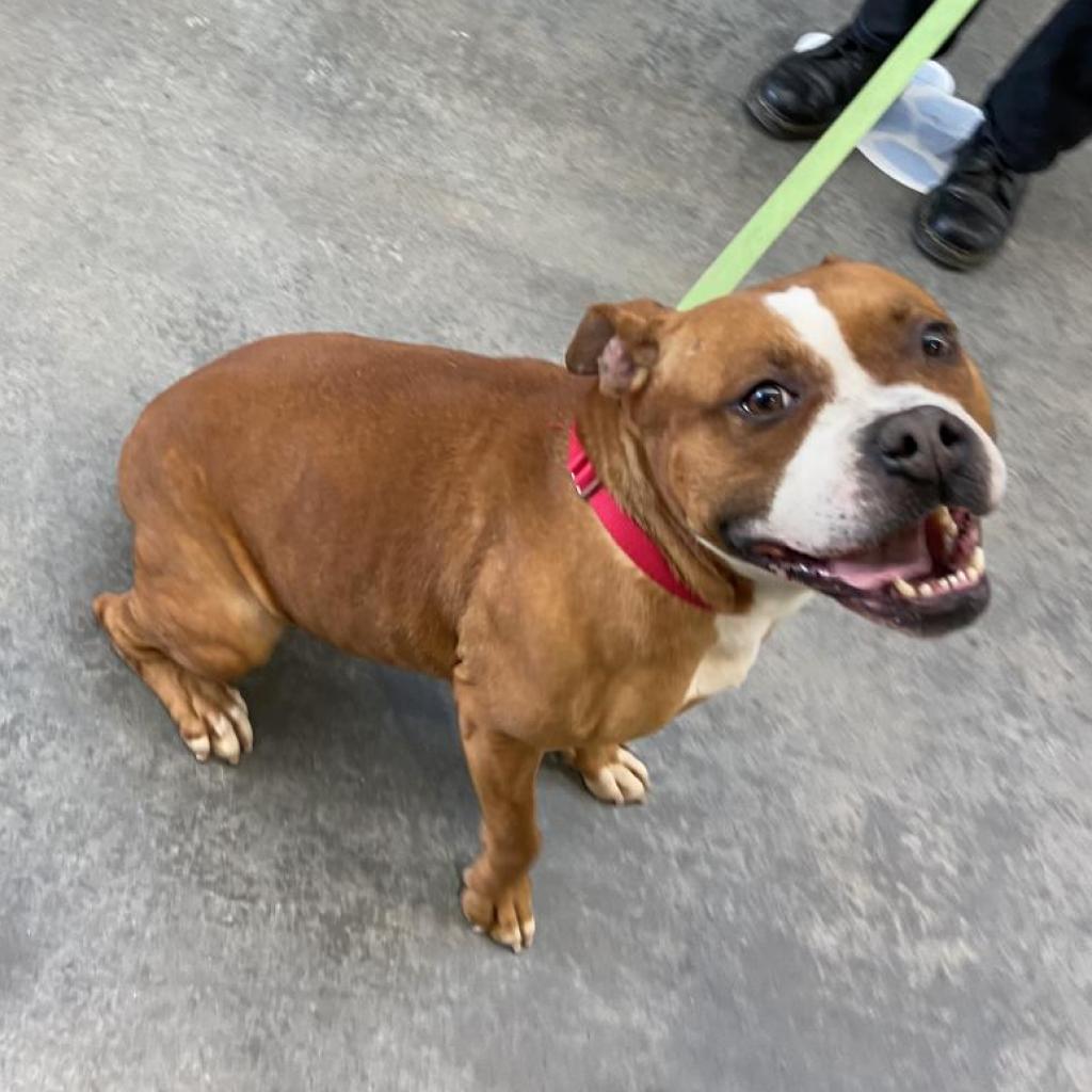 Photo of Penelope 3