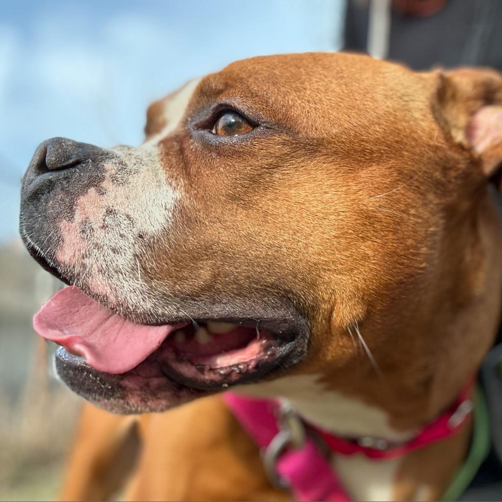 Photo of Penelope 4