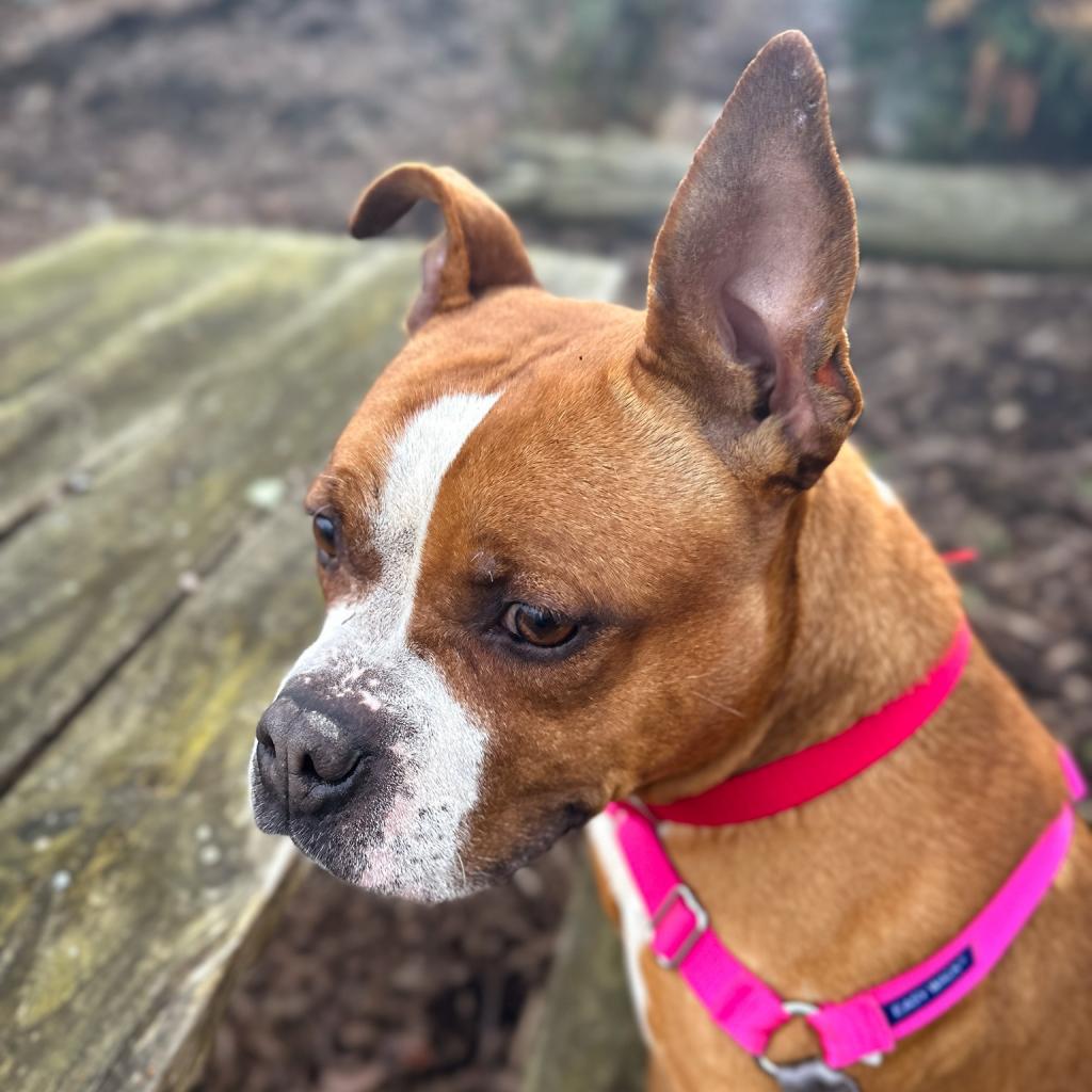 Photo of Penelope 5