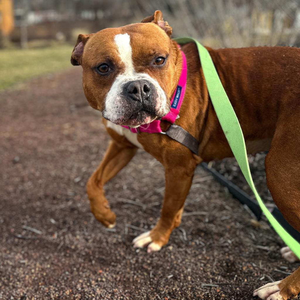 Photo of Penelope 6