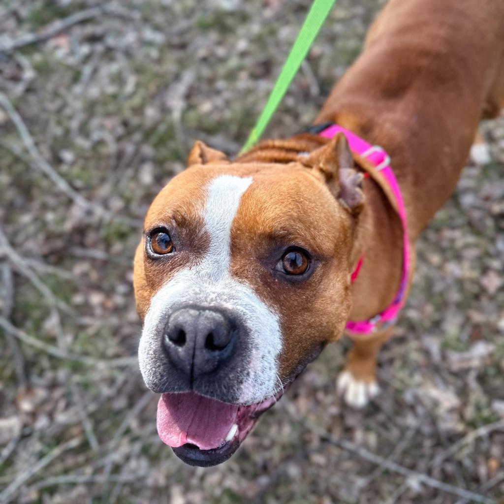 Photo of Penelope 7