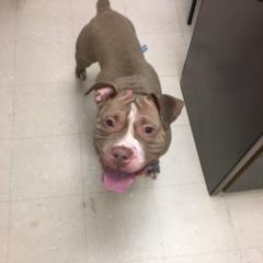 Photo of Hazel 3